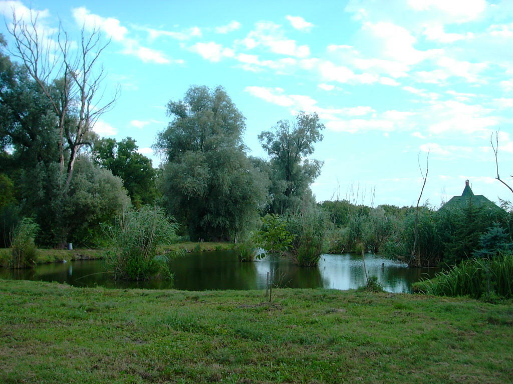 Ocsardi Topanzio Exterior foto